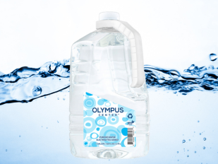 Bulk & Wholesale Pricing